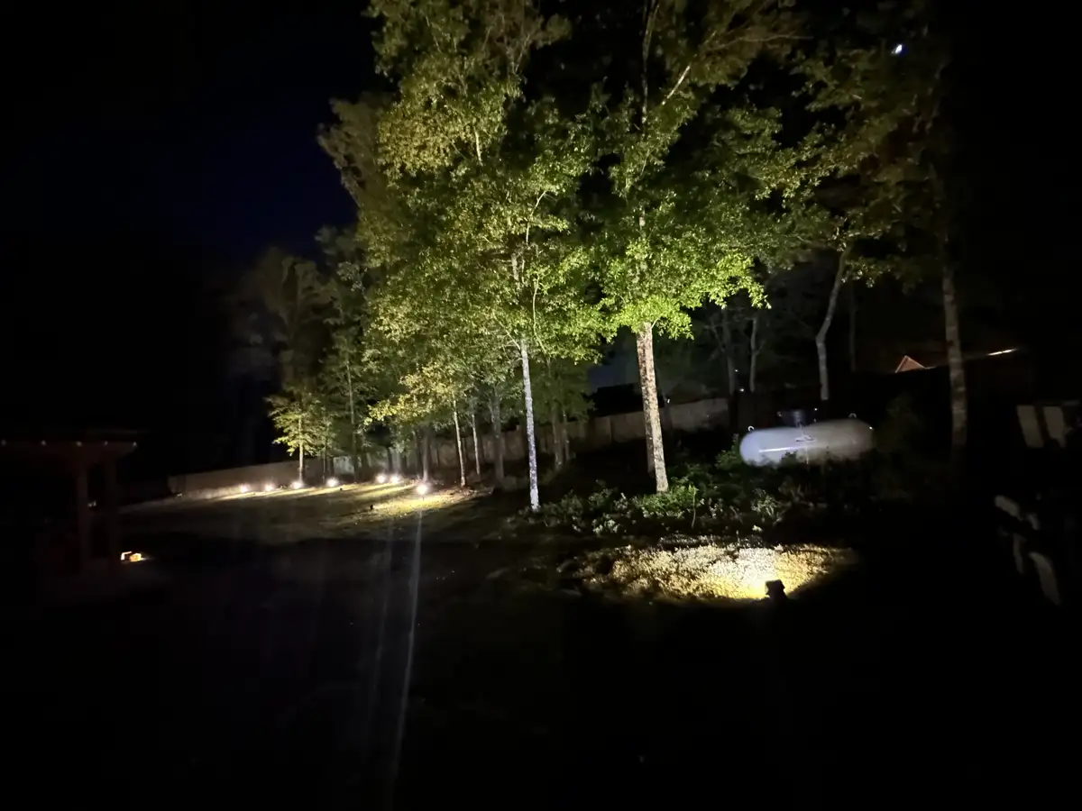 Warm landscape lights defining an outdoor path at dusk